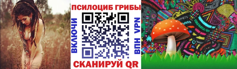 Галлюциногенные грибы Psilocybe  Серафимович 