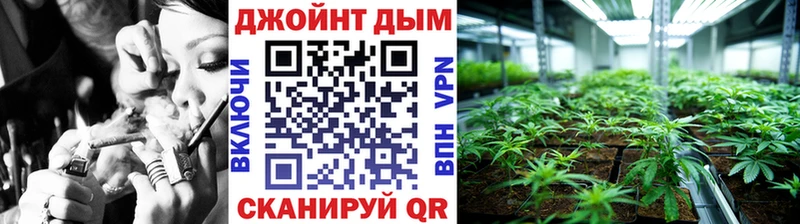 OMG ТОР  Серафимович  Каннабис семена 